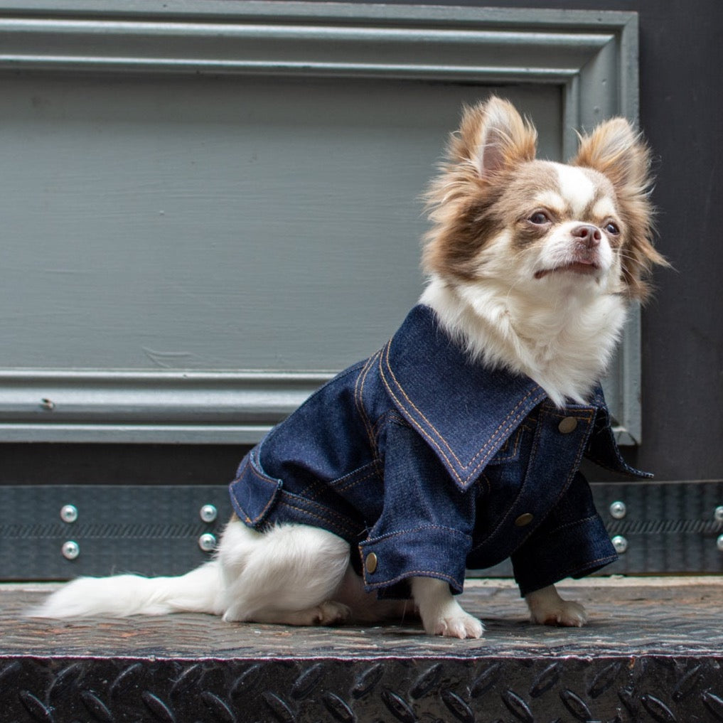 ReBlue Dog Denim Jacket