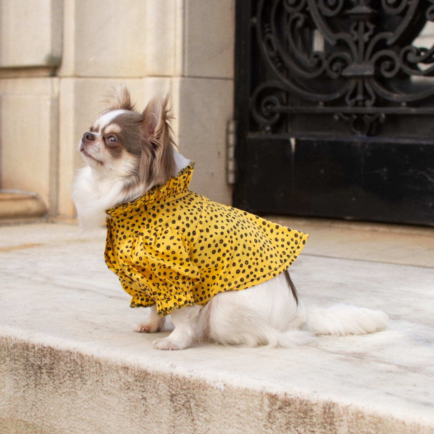 ReBlue Polka Dot Dress