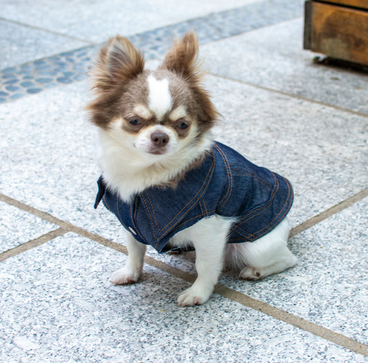 Denim Vest