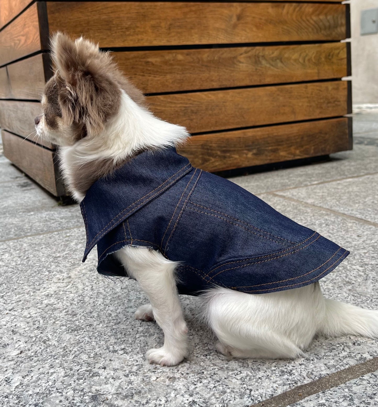 Denim Vest