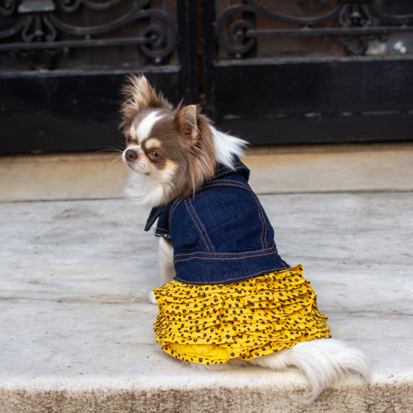 ReBlue Polka Dot Skirt