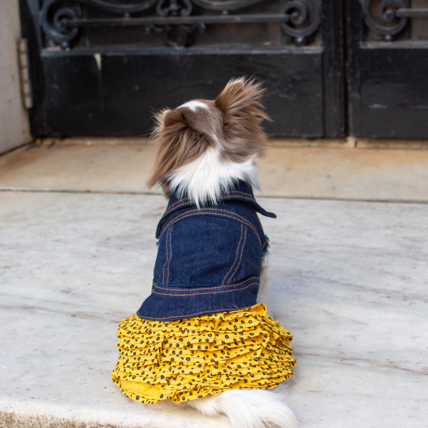 ReBlue Polka Dot Skirt