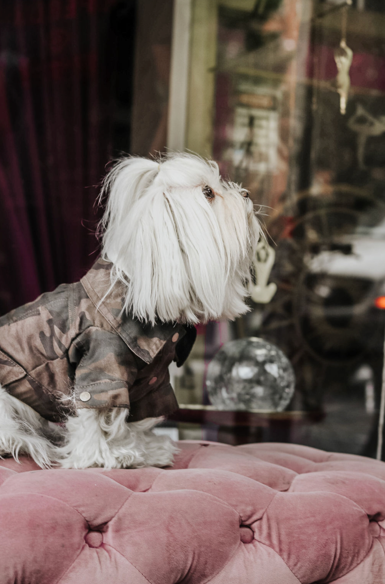 ReBlue Dog Military Jacket