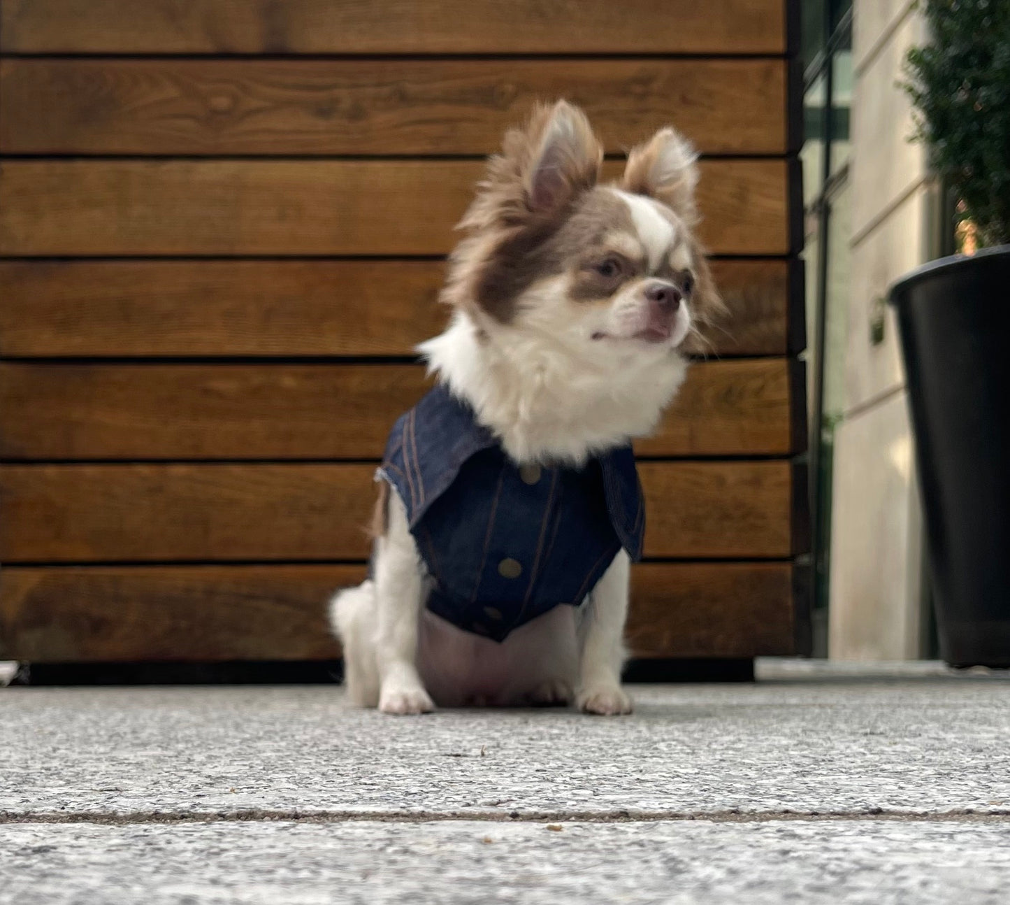 Denim Vest