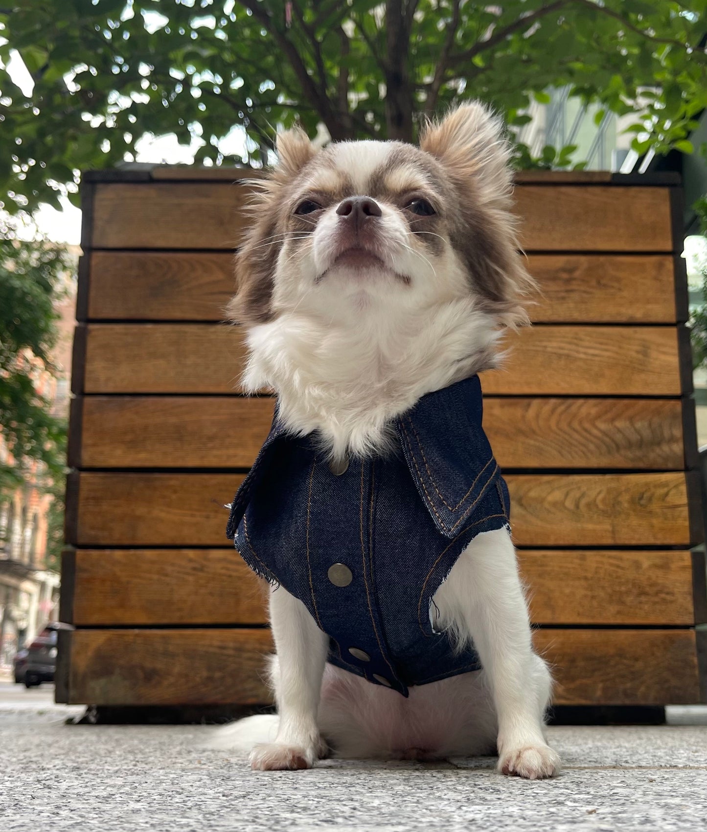 Denim Vest